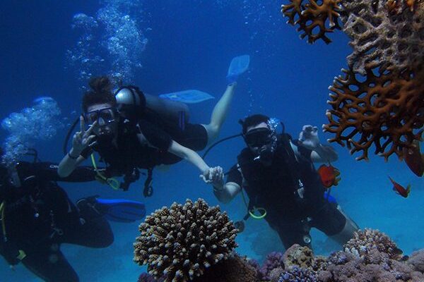 Diving Trip