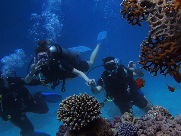 Diving Trip