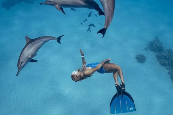 Dolphin Cruise