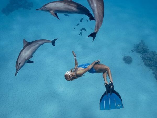 Dolphin Cruise