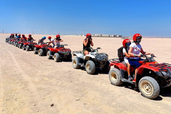 Vip Famaily Safari